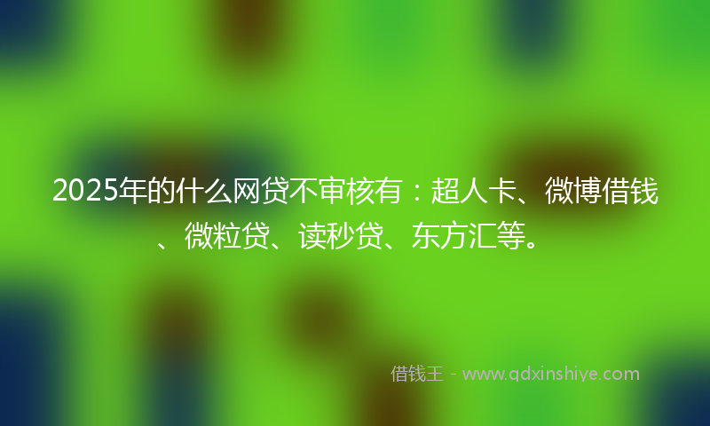 2025年的什么网贷不审核有：超人卡、微博借钱、微粒贷、读秒贷、东方汇等。