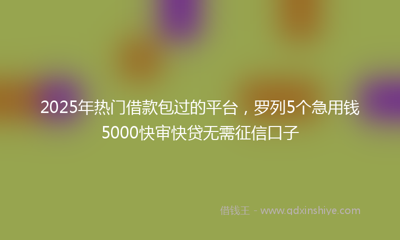 2025年热门借款包过的平台，罗列5个急用钱5000快审快贷无需征信口子