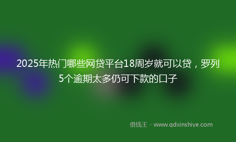 2025年热门哪些网贷平台18周岁就可以贷，罗列5个逾期太多仍可下款的口子