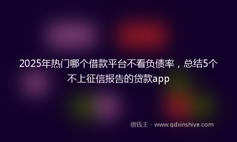 2025年热门哪个借款平台不看负债率，总结5个不上征信报告的贷款app