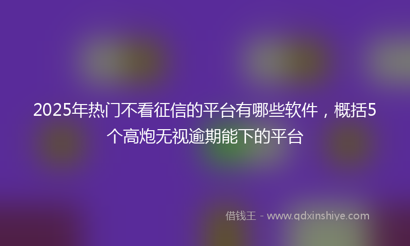 2025年热门不看征信的平台有哪些软件，概括5个高炮无视逾期能下的平台