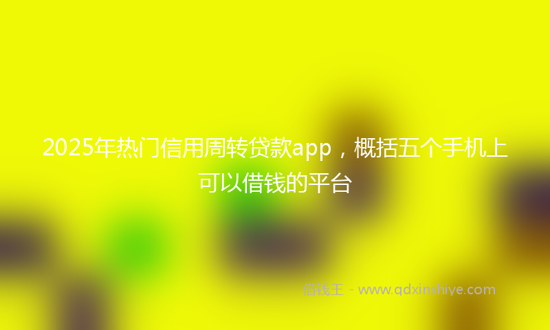 2025年热门信用周转贷款app，概括五个手机上可以借钱的平台