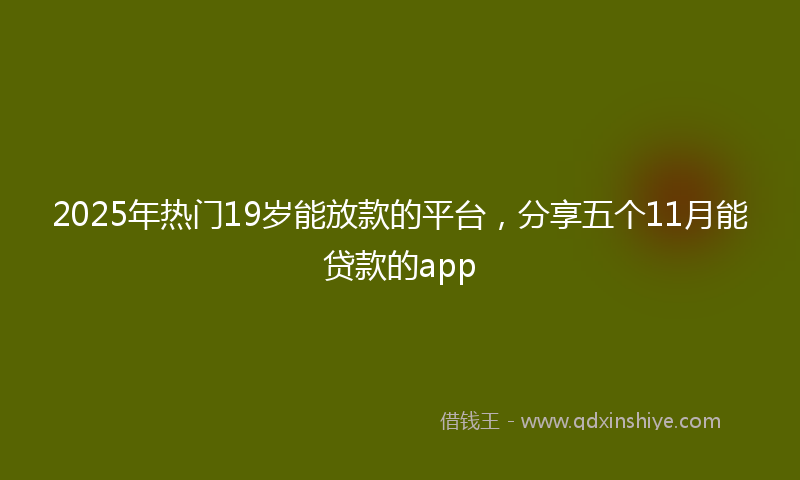 2025年热门19岁能放款的平台，分享五个11月能贷款的app