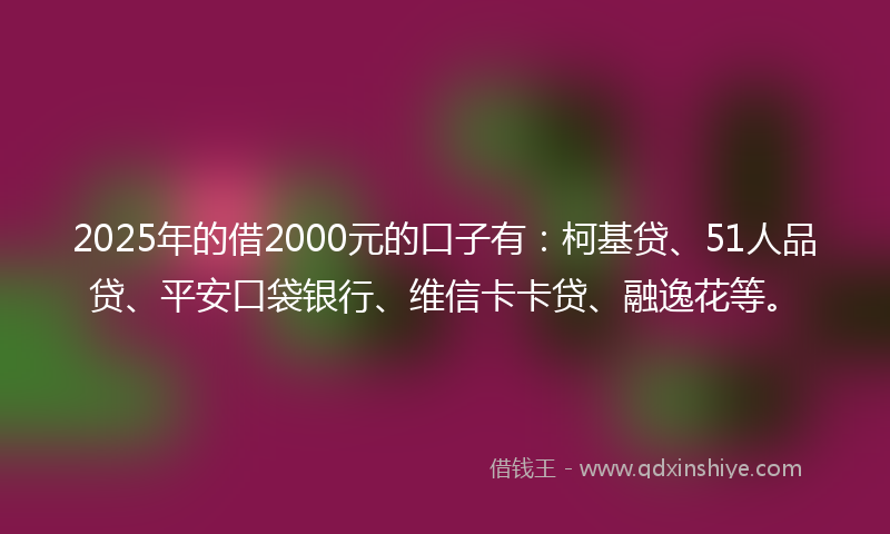2025年的借2000元的口子有：柯基贷、51人品贷、平安口袋银行、维信卡卡贷、融逸花等。