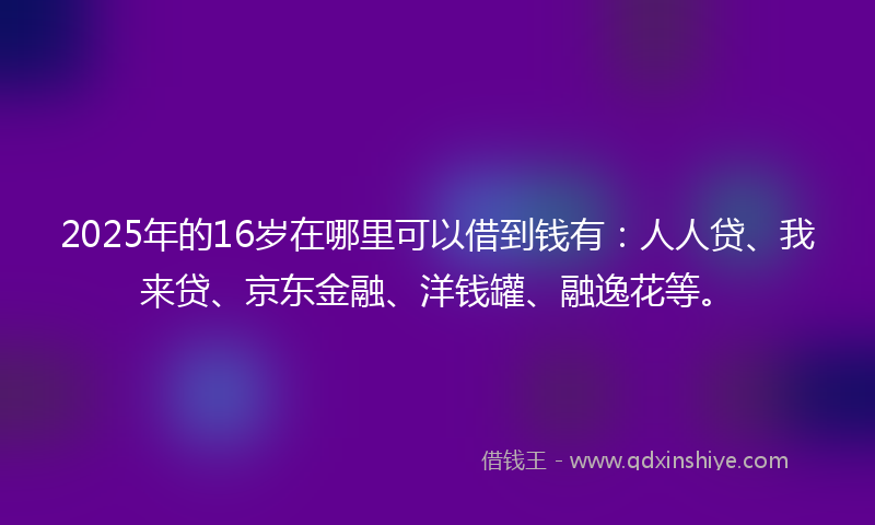 2025年的16岁在哪里可以借到钱有：人人贷、我来贷、京东金融、洋钱罐、融逸花等。