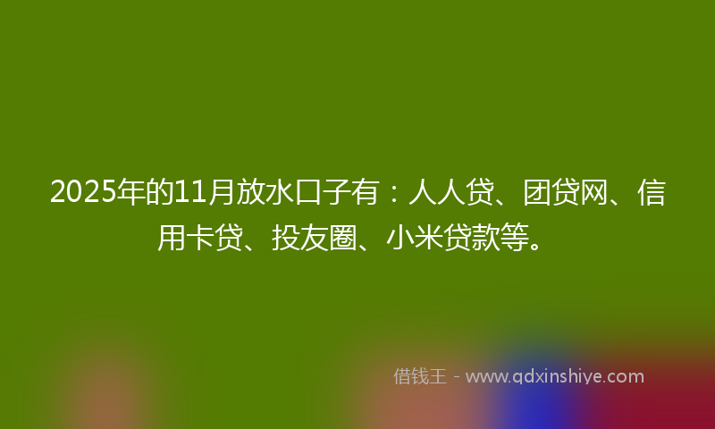 2025年的11月放水口子有：人人贷、团贷网、信用卡贷、投友圈、小米贷款等。