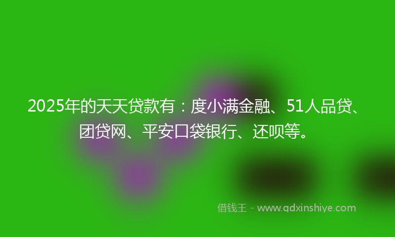 2025年的天天贷款有：度小满金融、51人品贷、团贷网、平安口袋银行、还呗等。