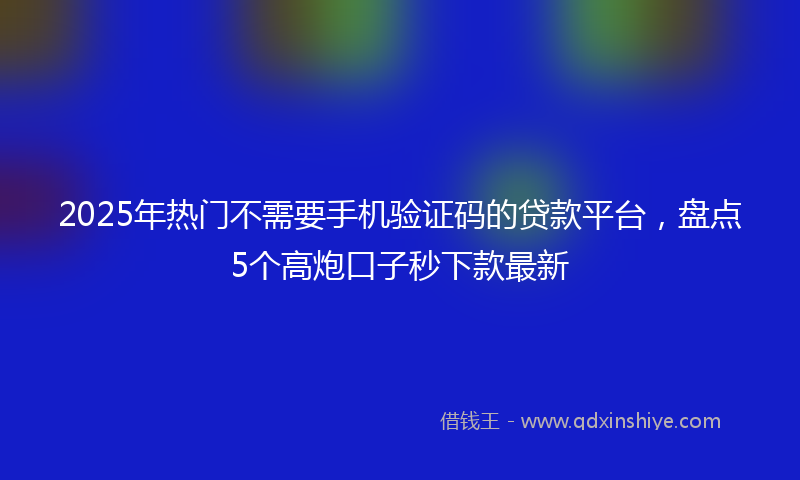 2025年热门不需要手机验证码的贷款平台，盘点5个高炮口子秒下款最新
