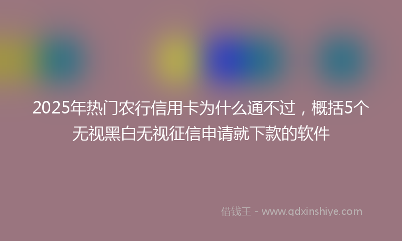 2025年热门农行信用卡为什么通不过，概括5个无视黑白无视征信申请就下款的软件