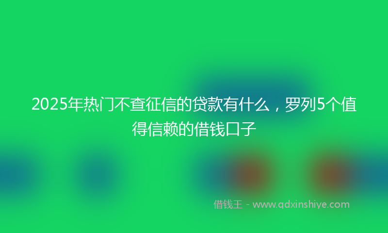 2025年热门不查征信的贷款有什么，罗列5个值得信赖的借钱口子