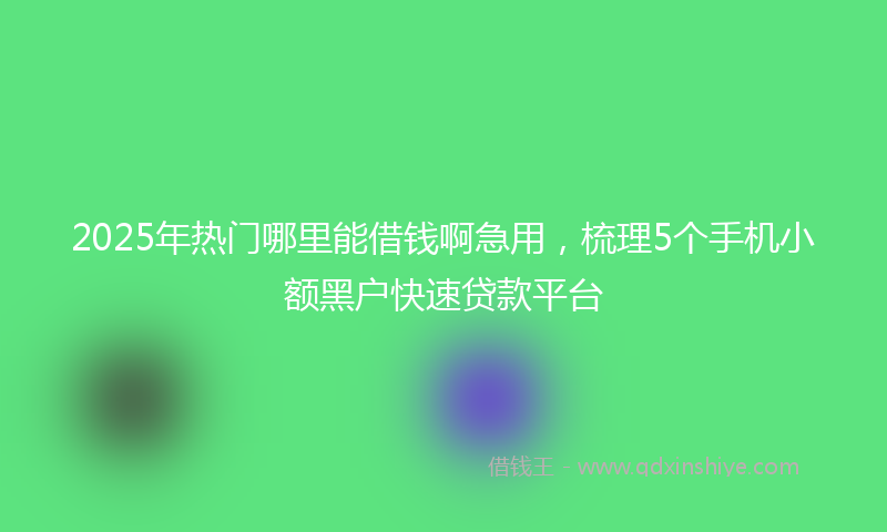 2025年热门哪里能借钱啊急用，梳理5个手机小额黑户快速贷款平台