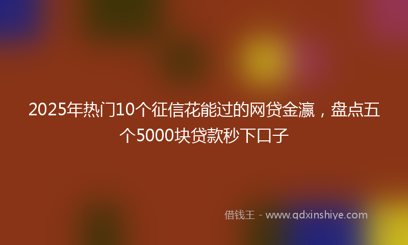 2025年热门10个征信花能过的网贷金瀛，盘点五个5000块贷款秒下口子