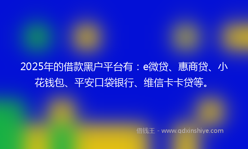 2025年的借款黑户平台有：e微贷、惠商贷、小花钱包、平安口袋银行、维信卡卡贷等。