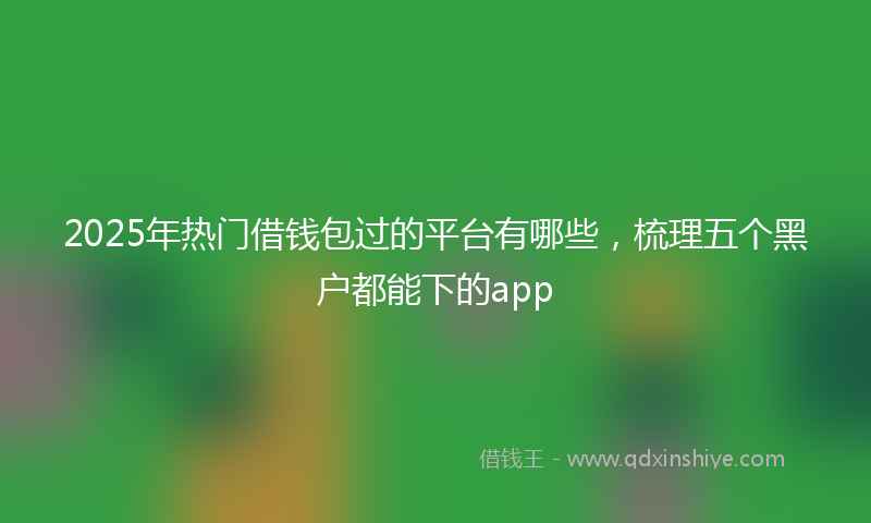 2025年热门借钱包过的平台有哪些，梳理五个黑户都能下的app