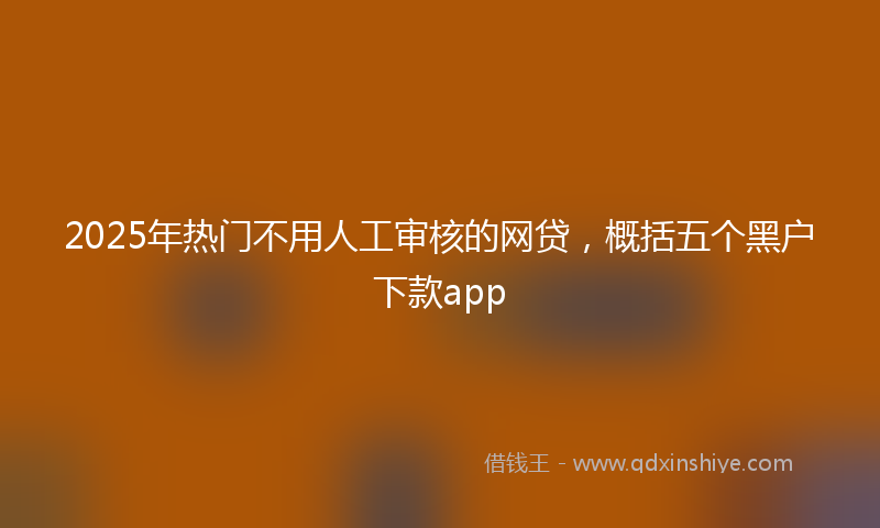 2025年热门不用人工审核的网贷，概括五个黑户下款app