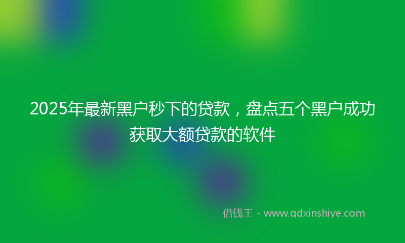 2025年最新黑户秒下的贷款，盘点五个黑户成功获取大额贷款的软件