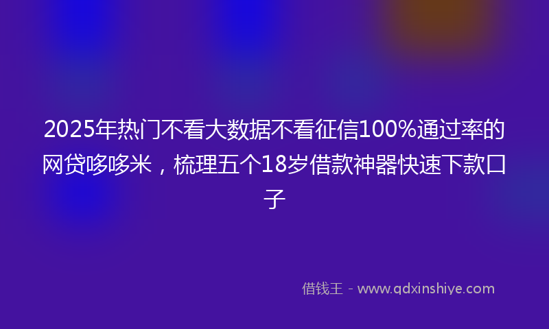 2025年热门不看大数据不看征信100%通过率的网贷哆哆米，梳理五个18岁借款神器快速下款口子