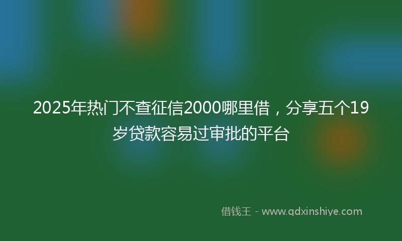 2025年热门不查征信2000哪里借，分享五个19岁贷款容易过审批的平台