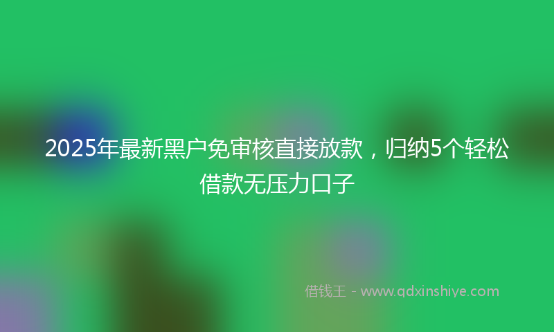 2025年最新黑户免审核直接放款，归纳5个轻松借款无压力口子