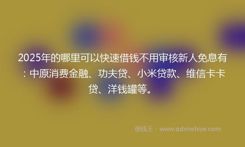 2025年的哪里可以快速借钱不用审核新人免息有：中原消费金融、功夫贷、小米贷款、维信卡卡贷、洋钱罐等。