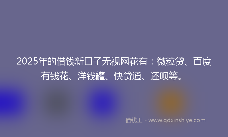 2025年的借钱新口子无视网花有：微粒贷、百度有钱花、洋钱罐、快贷通、还呗等。