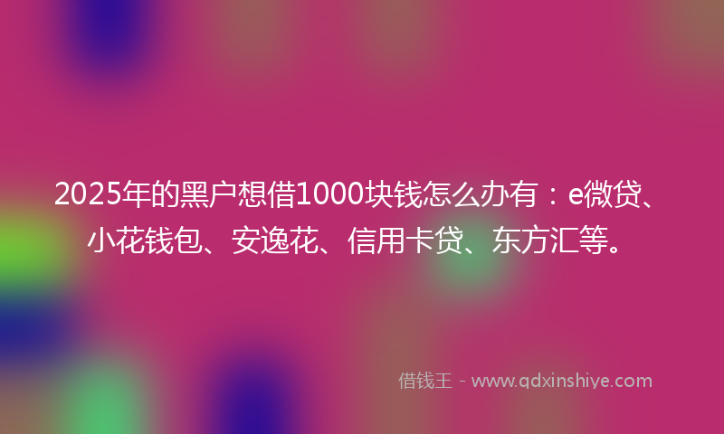 2025年的黑户想借1000块钱怎么办有：e微贷、小花钱包、安逸花、信用卡贷、东方汇等。