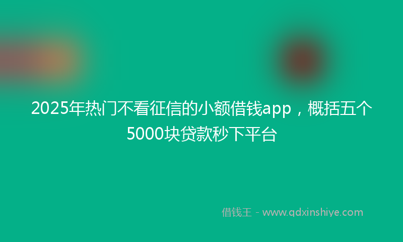 2025年热门不看征信的小额借钱app，概括五个5000块贷款秒下平台