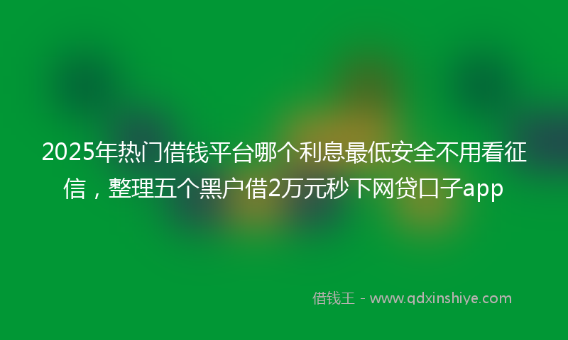 2025年热门借钱平台哪个利息最低安全不用看征信，整理五个黑户借2万元秒下网贷口子app