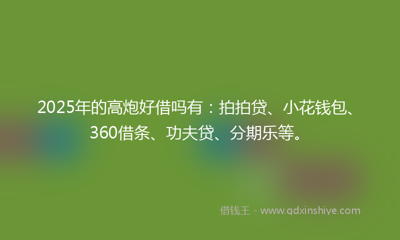 2025年的高炮好借吗有：拍拍贷、小花钱包、360借条、功夫贷、分期乐等。