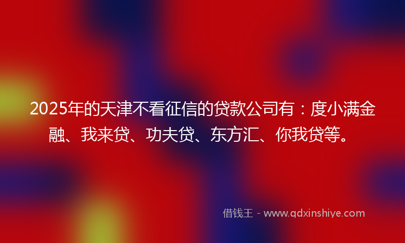 2025年的天津不看征信的贷款公司有：度小满金融、我来贷、功夫贷、东方汇、你我贷等。