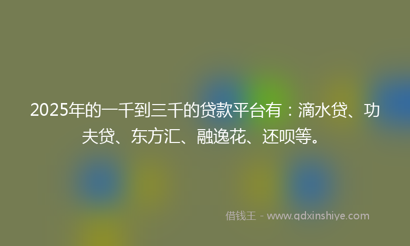 2025年的一千到三千的贷款平台有：滴水贷、功夫贷、东方汇、融逸花、还呗等。