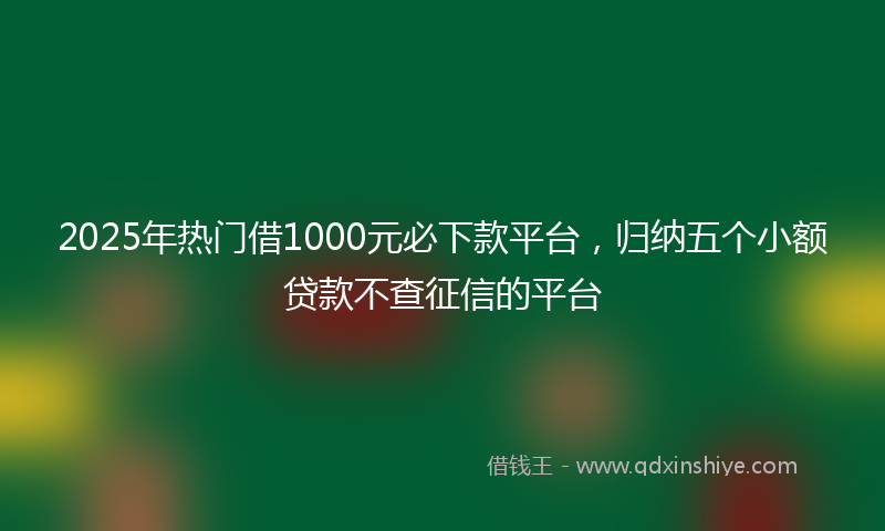 2025年热门借1000元必下款平台，归纳五个小额贷款不查征信的平台