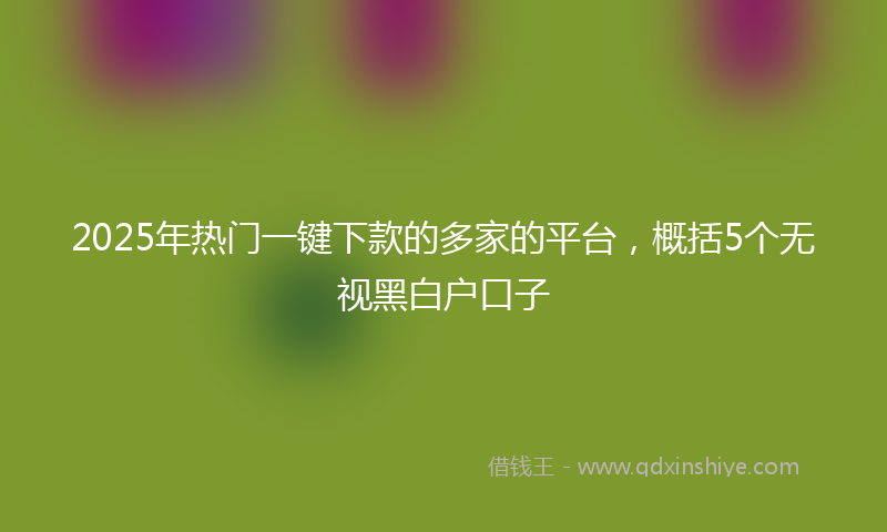 2025年热门一键下款的多家的平台，概括5个无视黑白户口子