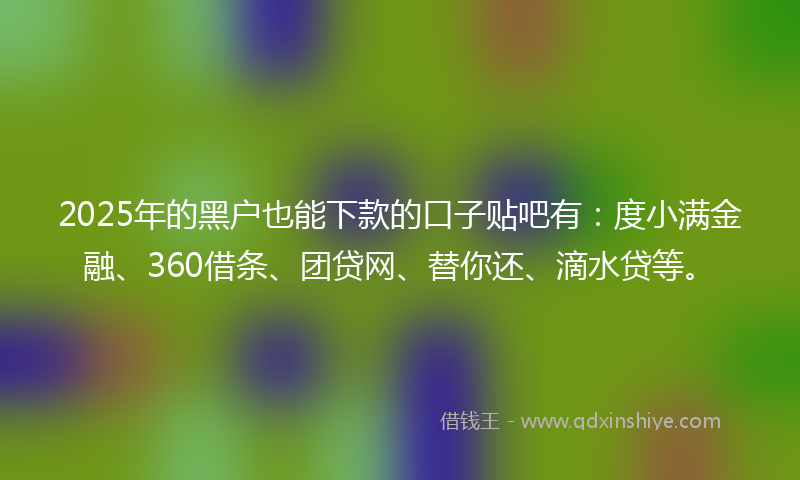 2025年的黑户也能下款的口子贴吧有：度小满金融、360借条、团贷网、替你还、滴水贷等。