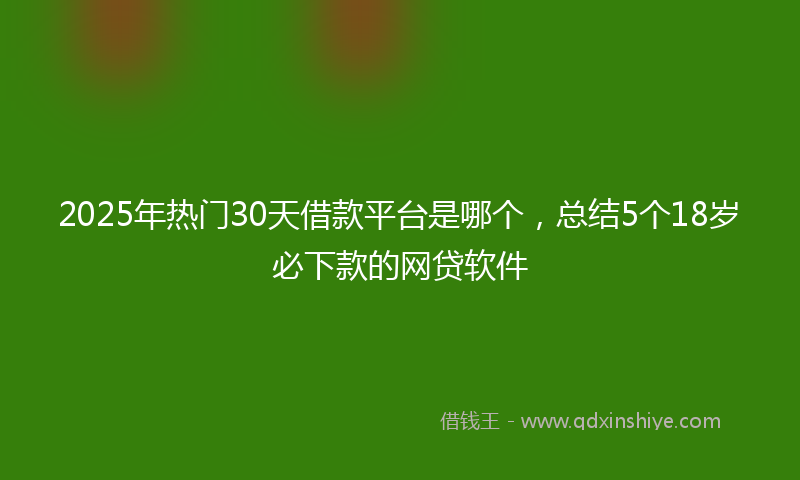 2025年热门30天借款平台是哪个，总结5个18岁必下款的网贷软件