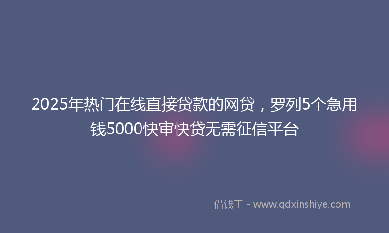 2025年热门在线直接贷款的网贷，罗列5个急用钱5000快审快贷无需征信平台
