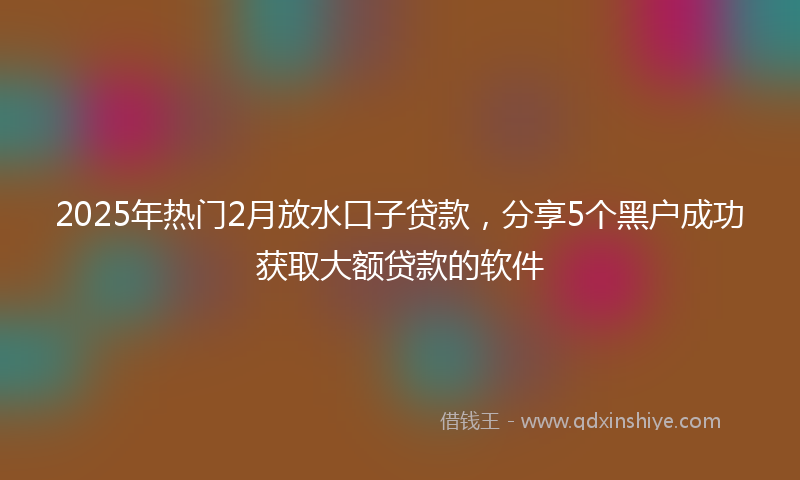 2025年热门2月放水口子贷款，分享5个黑户成功获取大额贷款的软件