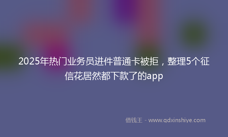 2025年热门业务员进件普通卡被拒，整理5个征信花居然都下款了的app
