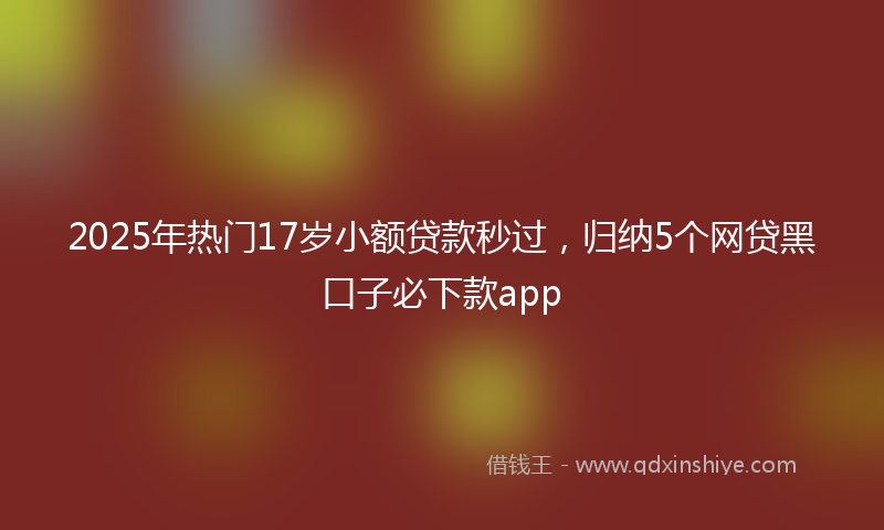 2025年热门17岁小额贷款秒过，归纳5个网贷黑口子必下款app