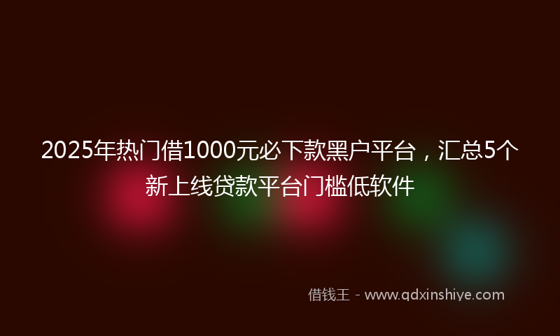 2025年热门借1000元必下款黑户平台，汇总5个新上线贷款平台门槛低软件