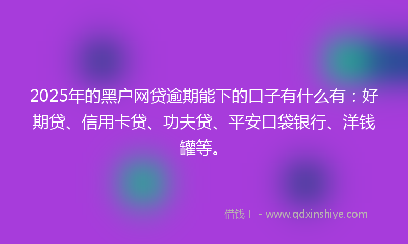 2025年的黑户网贷逾期能下的口子有什么有：好期贷、信用卡贷、功夫贷、平安口袋银行、洋钱罐等。