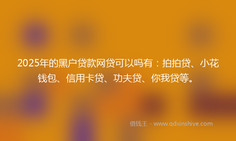 2025年的黑户贷款网贷可以吗有：拍拍贷、小花钱包、信用卡贷、功夫贷、你我贷等。