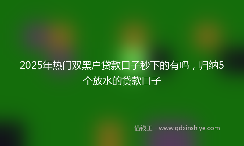 2025年热门双黑户贷款口子秒下的有吗，归纳5个放水的贷款口子