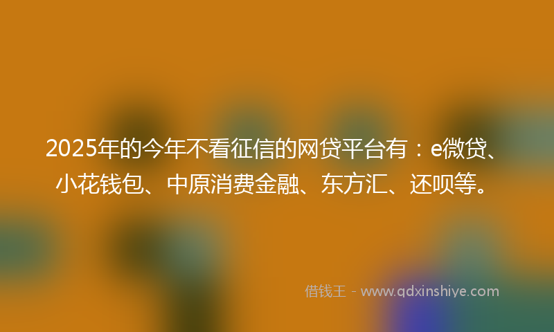2025年的今年不看征信的网贷平台有：e微贷、小花钱包、中原消费金融、东方汇、还呗等。