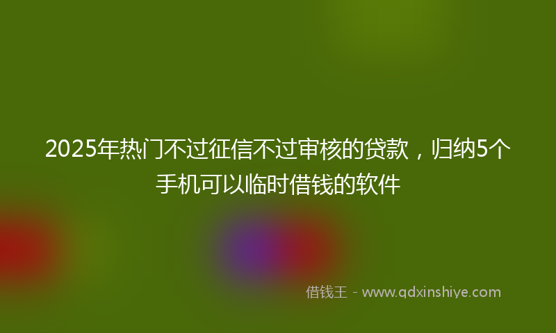 2025年热门不过征信不过审核的贷款，归纳5个手机可以临时借钱的软件