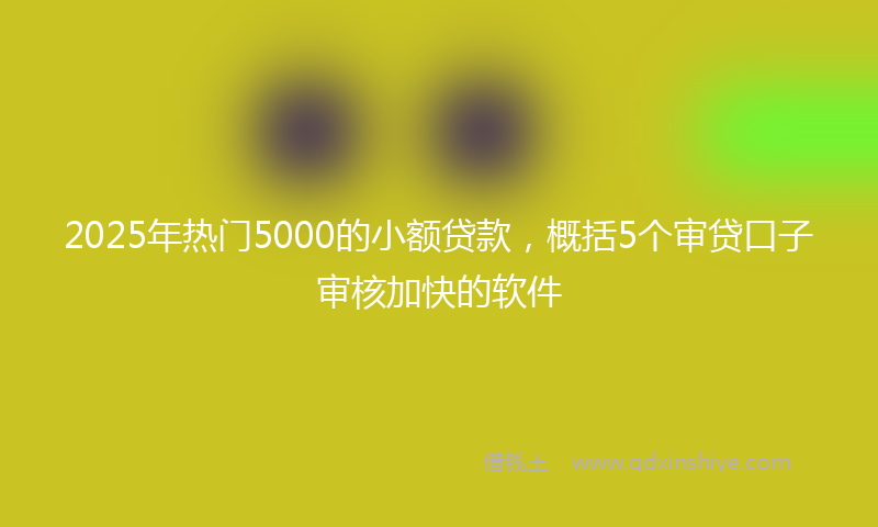 2025年热门5000的小额贷款，概括5个审贷口子审核加快的软件
