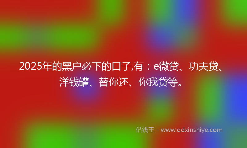2025年的黑户必下的口子,有：e微贷、功夫贷、洋钱罐、替你还、你我贷等。