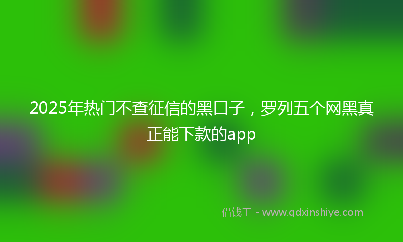 2025年热门不查征信的黑口子，罗列五个网黑真正能下款的app