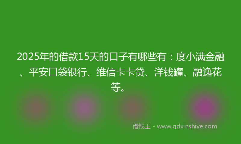2025年的借款15天的口子有哪些有：度小满金融、平安口袋银行、维信卡卡贷、洋钱罐、融逸花等。