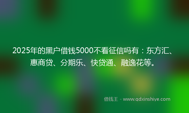 2025年的黑户借钱5000不看征信吗有：东方汇、惠商贷、分期乐、快贷通、融逸花等。